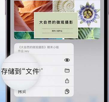 银川apple维修中心分享iPhone文件应用中存储和找到下载文件