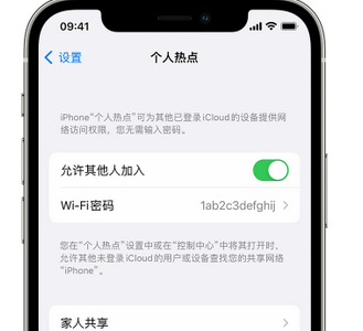 银川apple服务站点分享iPhone上个人热点丢失了怎么办 