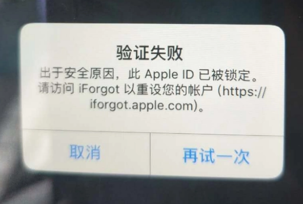 银川iPhone维修分享iPhone上正常登录或使用AppleID怎么办 