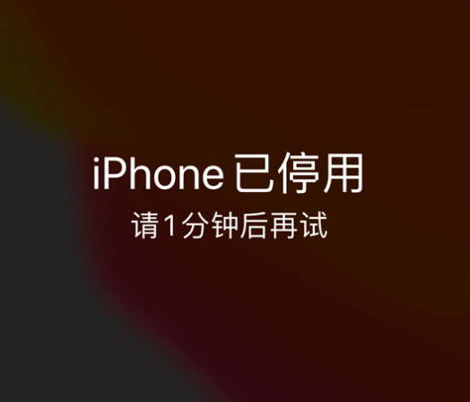 银川苹果手机维修分享:iPhone 显示“不可用”或“已停用”怎么办？还能保留数据吗？ 