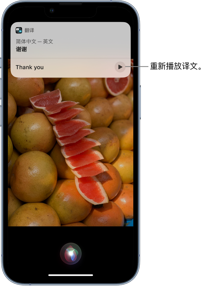 银川苹果14维修分享 iPhone 14 机型中使用 Siri：了解 Siri 能帮你做什么 