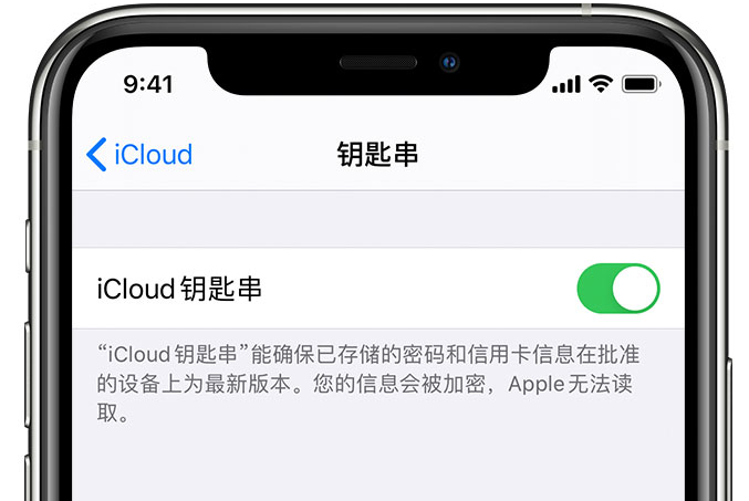 银川苹果手机维修分享在 iPhone 上开启 iCloud 钥匙串之后会储存哪些信息 